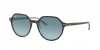 OKULARY RAY-BAN® THALIA RB 2195 13163M 51 ROZMIAR M